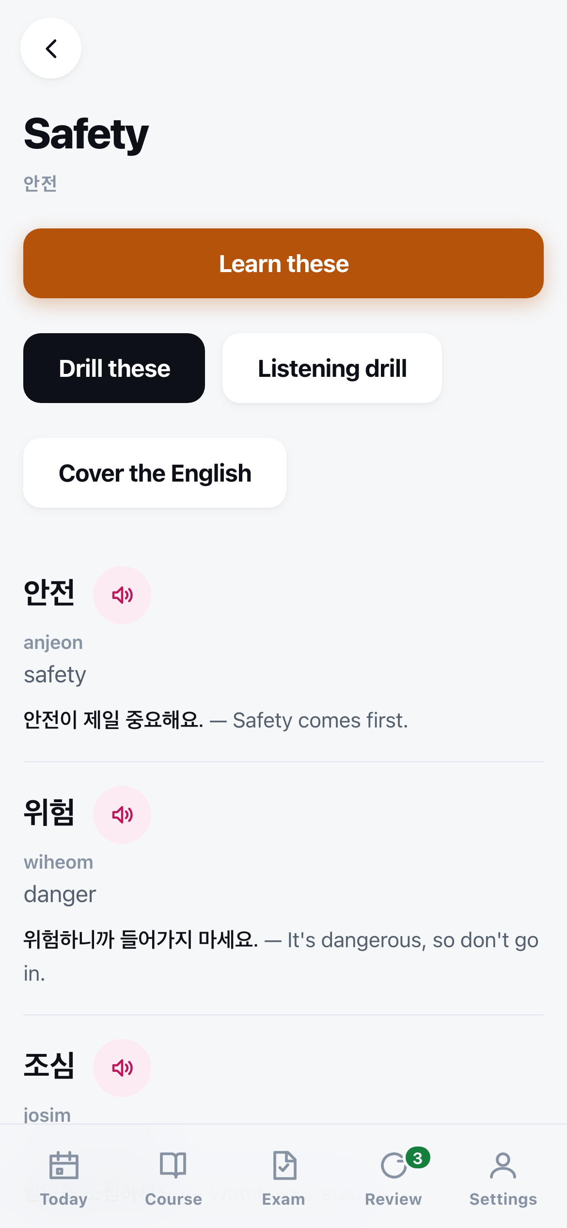 The Safety vocabulary set, listing 안전, 위험 and 조심 with romanisation, English meaning and a Korean example sentence under each, with a round play button beside every word